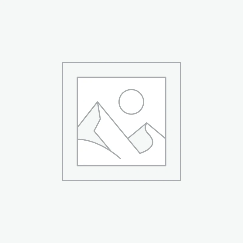 Fada do Bosque com Luz LED 3