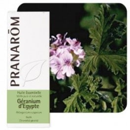granium-d-egypte-huile-essentielle-pranarm-10-ml