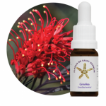 Grevilea (Grevillea banksii)